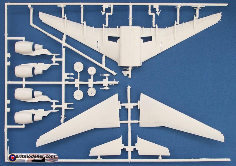 sprue2.jpg